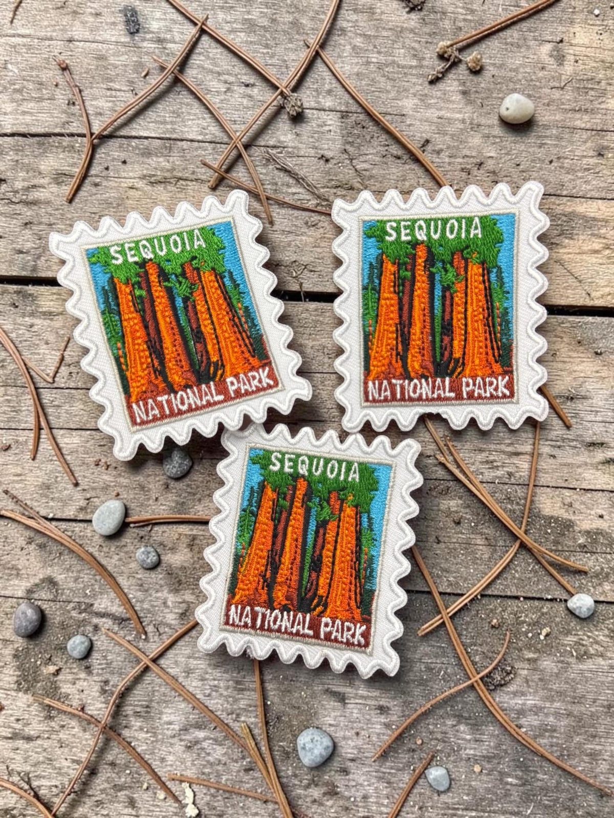 Sequoia National Park Travel Patch – 2 X 2 Iron On Souvenir National Park Pin Collector